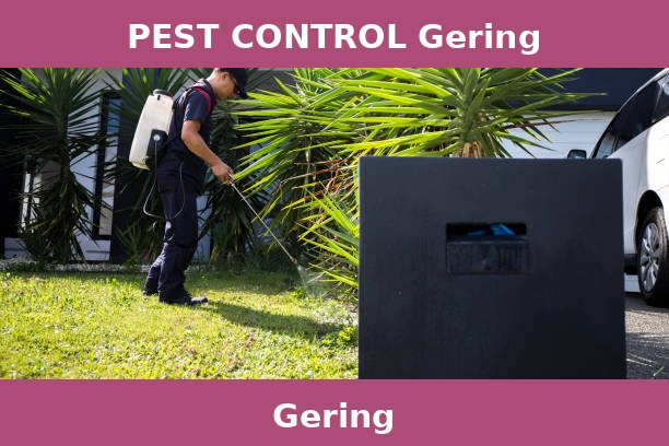 PEST CONTROL Gering